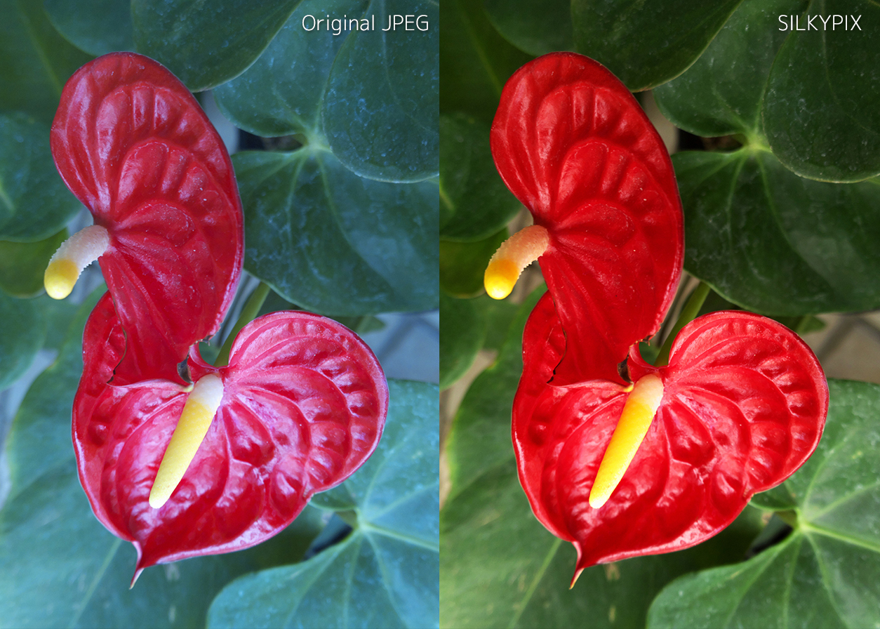 Before and After with Nokia Lumia Photos